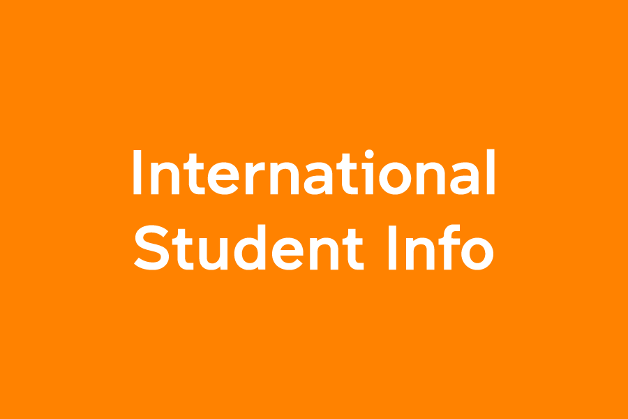 国际学生信息