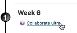 在“第6周”课程部分中有一个“协作Ultra”活动链接